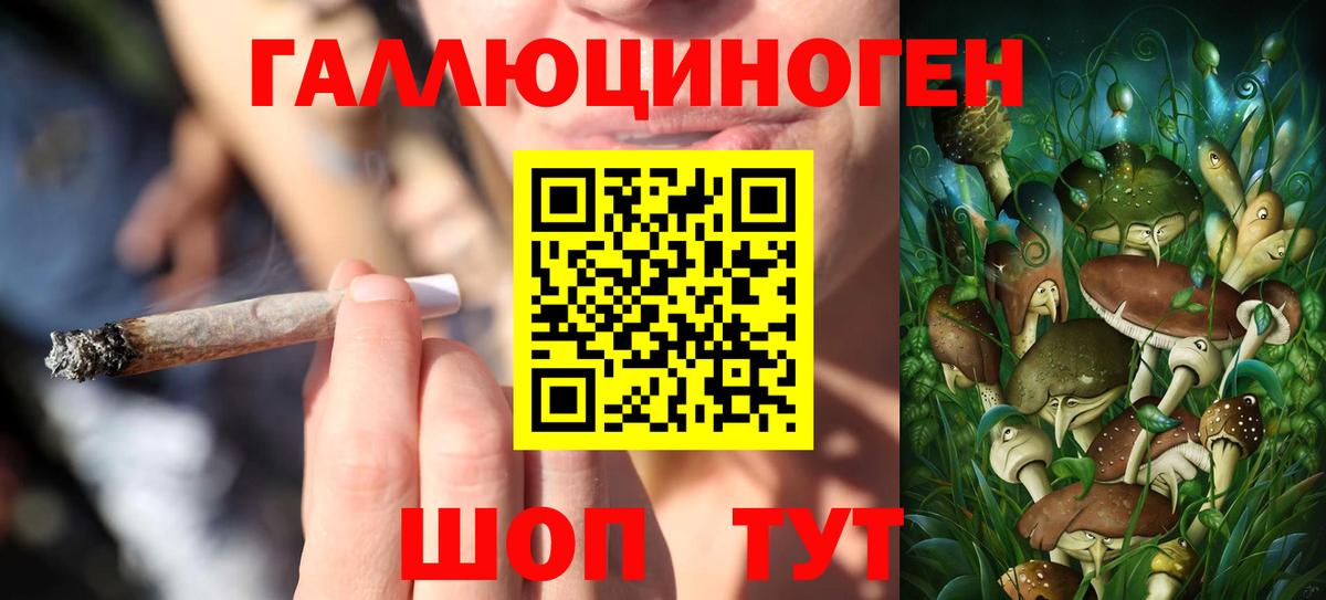 Псилоцибиновые грибы MAGIC MUSHROOMS Донецк