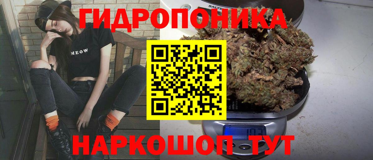 Конопля план  Канабис Ganja  Шишки марихуана THC 21%  Марихуана THC 21%  Вход с VPN  Донецк 